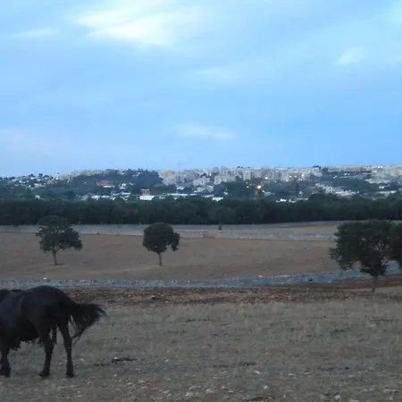Dimore Di Puglia Apartamento